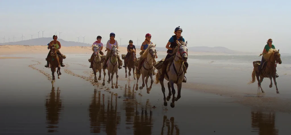 Activities Essaouira , Best Riad In essaouira